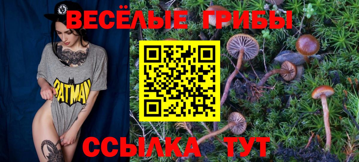 Псилоцибиновые грибы GOLDEN TEACHER  Вход с VPN  Псилоцибиновые грибы ЛСД  Курганинск 